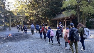 IMG_4200.jpeg