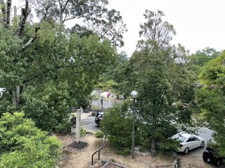 IMG_8731.jpeg